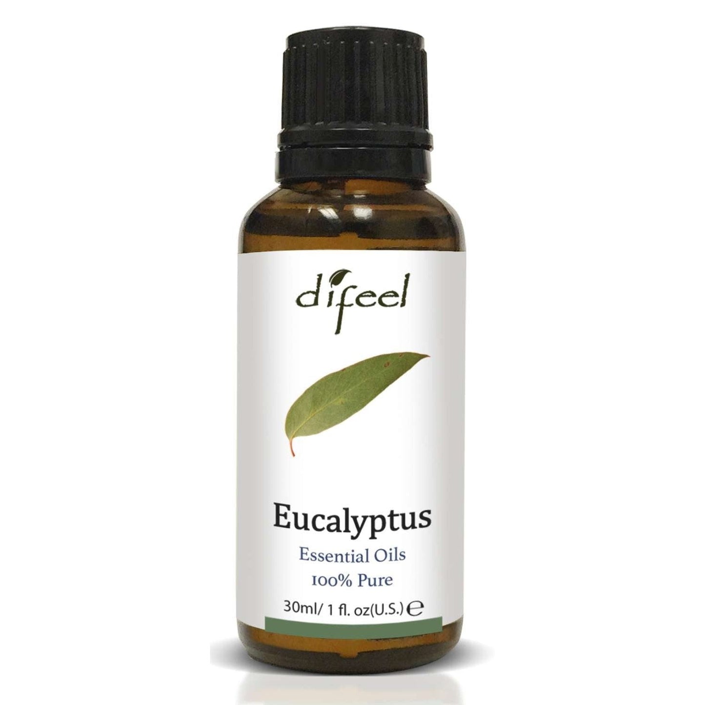 Essential Oil Eucalyptus 100% Pure 1 Oz