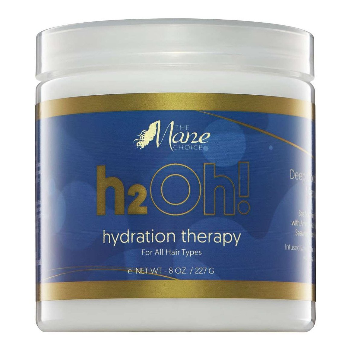 Hydration Therapy Hair Masque H2Oh
